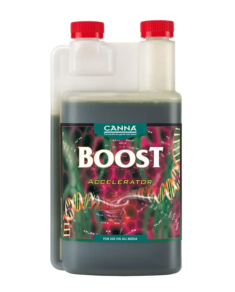 Boost Accelerator -Canna 1