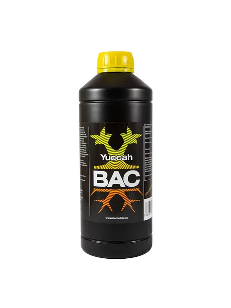 Yuccah -Bac 1