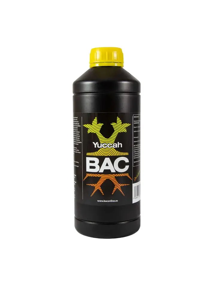 Yuccah -Bac 1