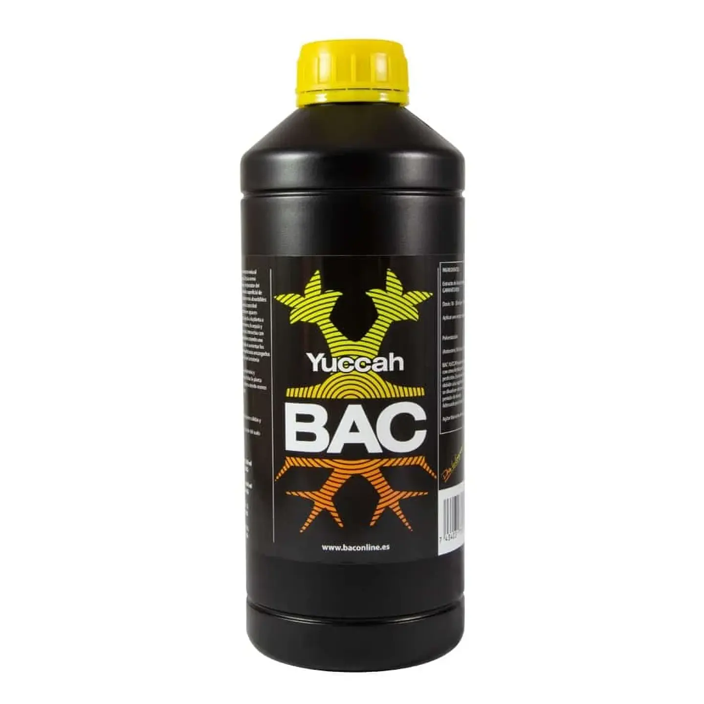 Yuccah -Bac 1