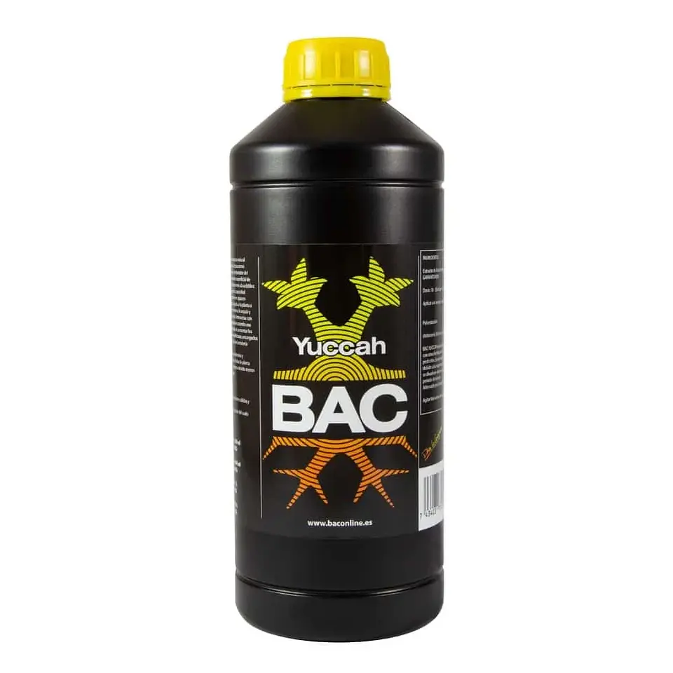 Yuccah -Bac 1