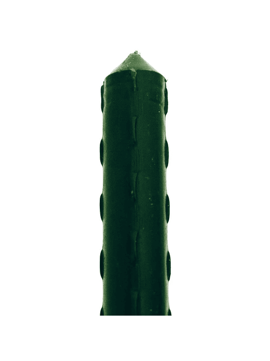 TUTORES METÁLICOS RECUBIERTOS 181CMX16MM-KASVI 2