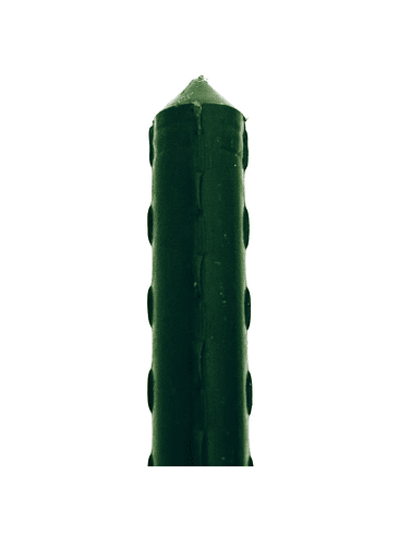 TUTORES METÁLICOS RECUBIERTOS 151CMX8MM-KASVI 2