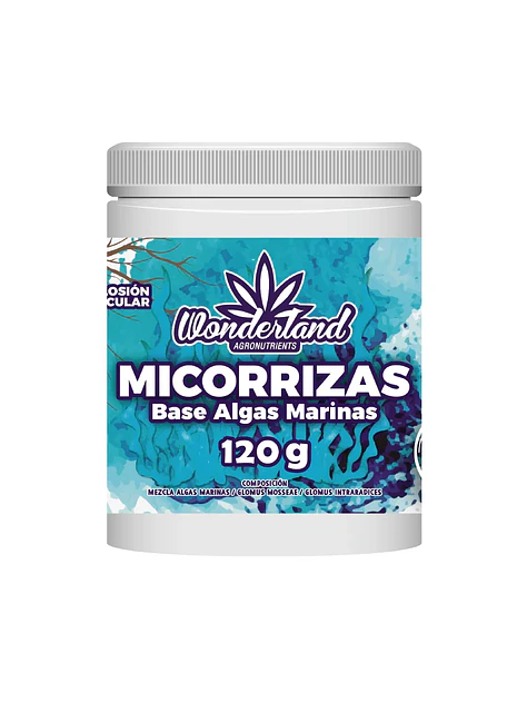 Micorriza -Wonderland 1