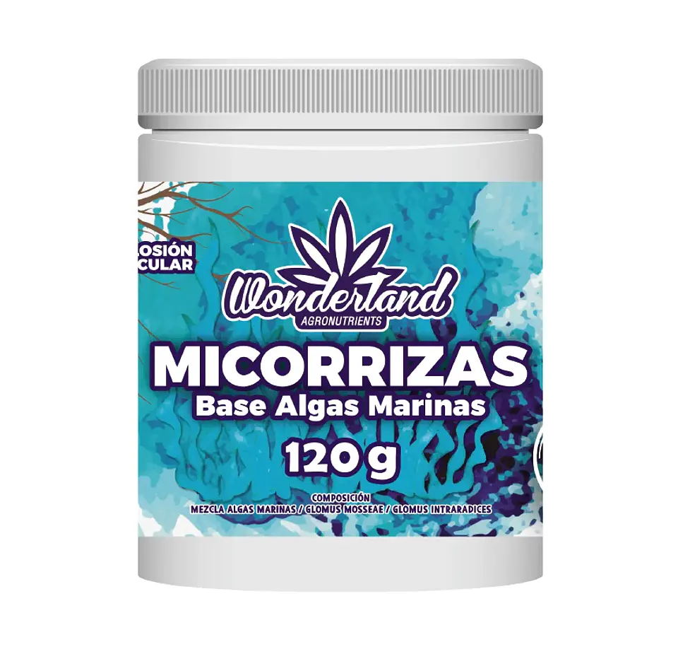 Micorriza -Wonderland 1