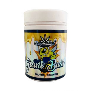 GIANT BUDS PK52-34 120GR-WONDERLAND