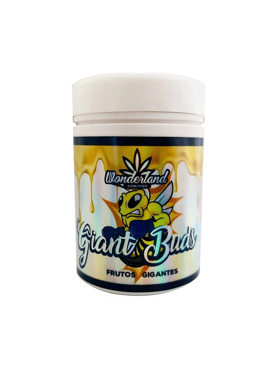 GIANT BUDS PK52-34 120GR-WONDERLAND 1