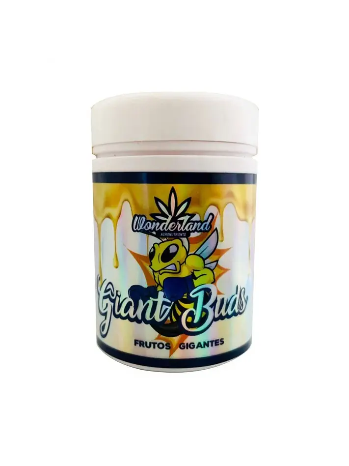 Giant Buds Pk52-34 -Wonderland 1