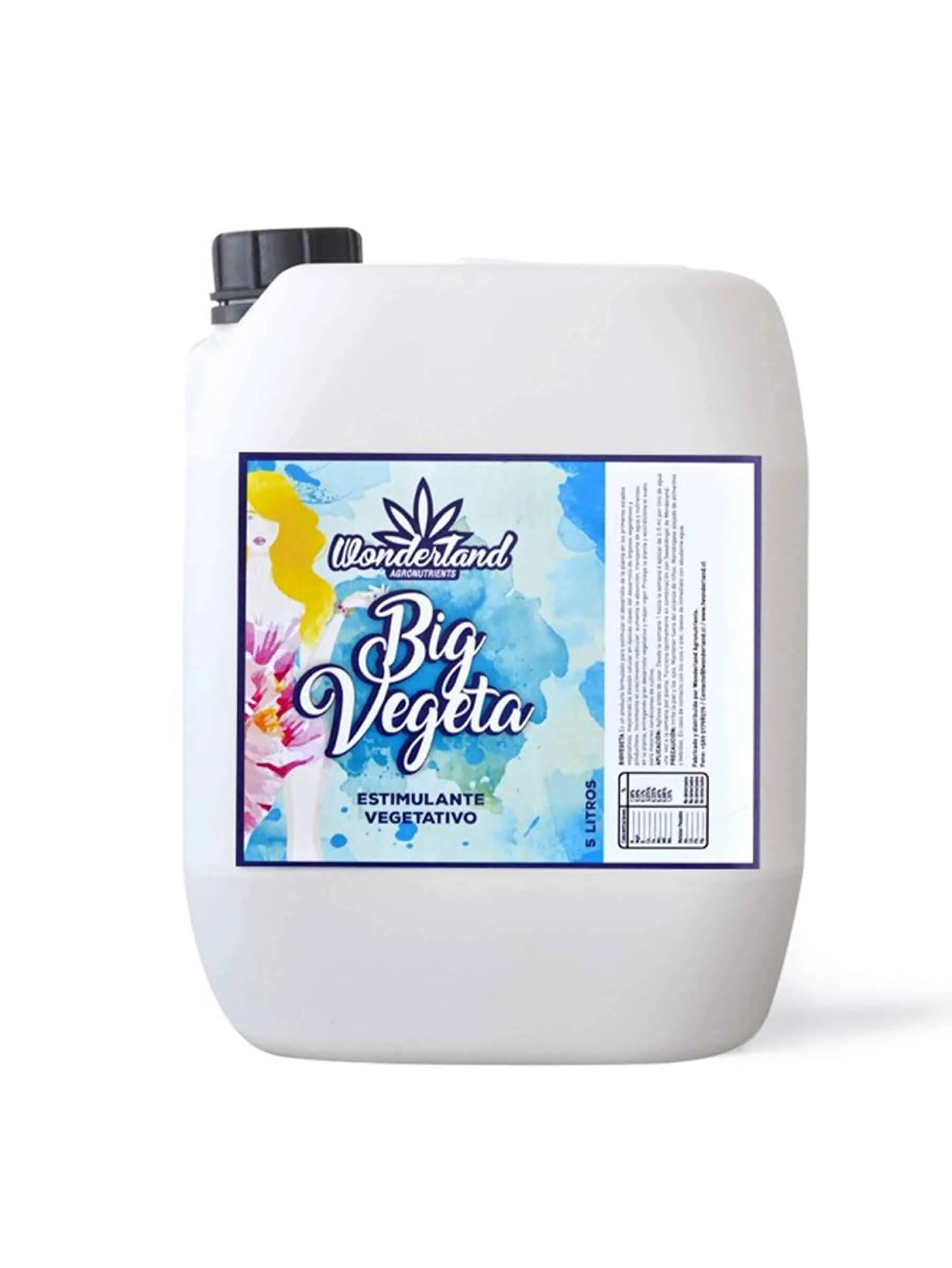 Big Vegeta 5Lt-Wonderland 1