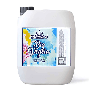 Big Vegeta 5Lt-Wonderland