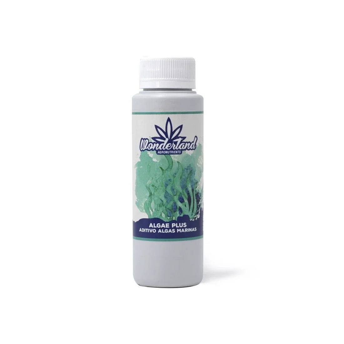 Algae Plus -Wonderland 1