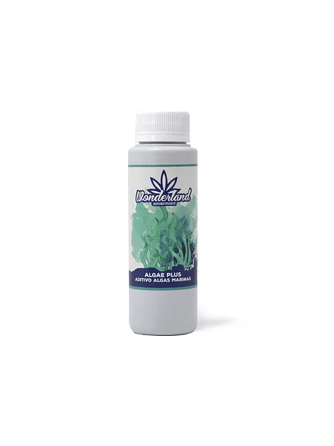 Algae Plus -Wonderland 1