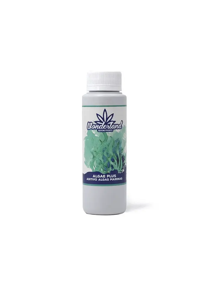 Algae Plus -Wonderland 1