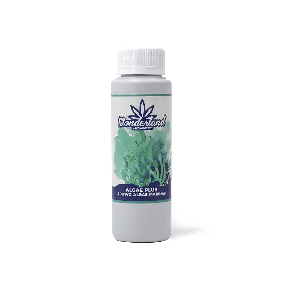 Algae Plus -Wonderland 1