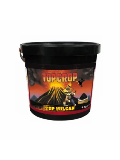 Top Vulcan-Top Crop 1