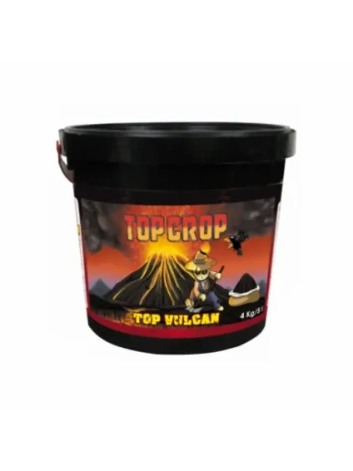 Top Vulcan-Top Crop 1