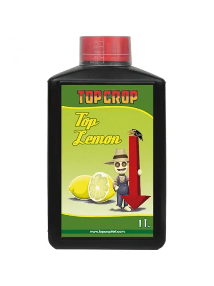 Top Lemon -Top Crop 1