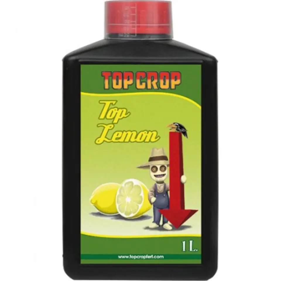 Top Lemon -Top Crop 1