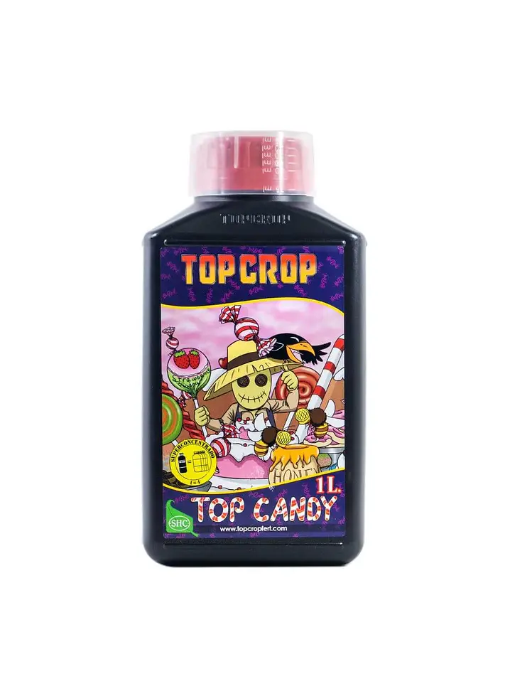 Top Candy -Top Crop 1