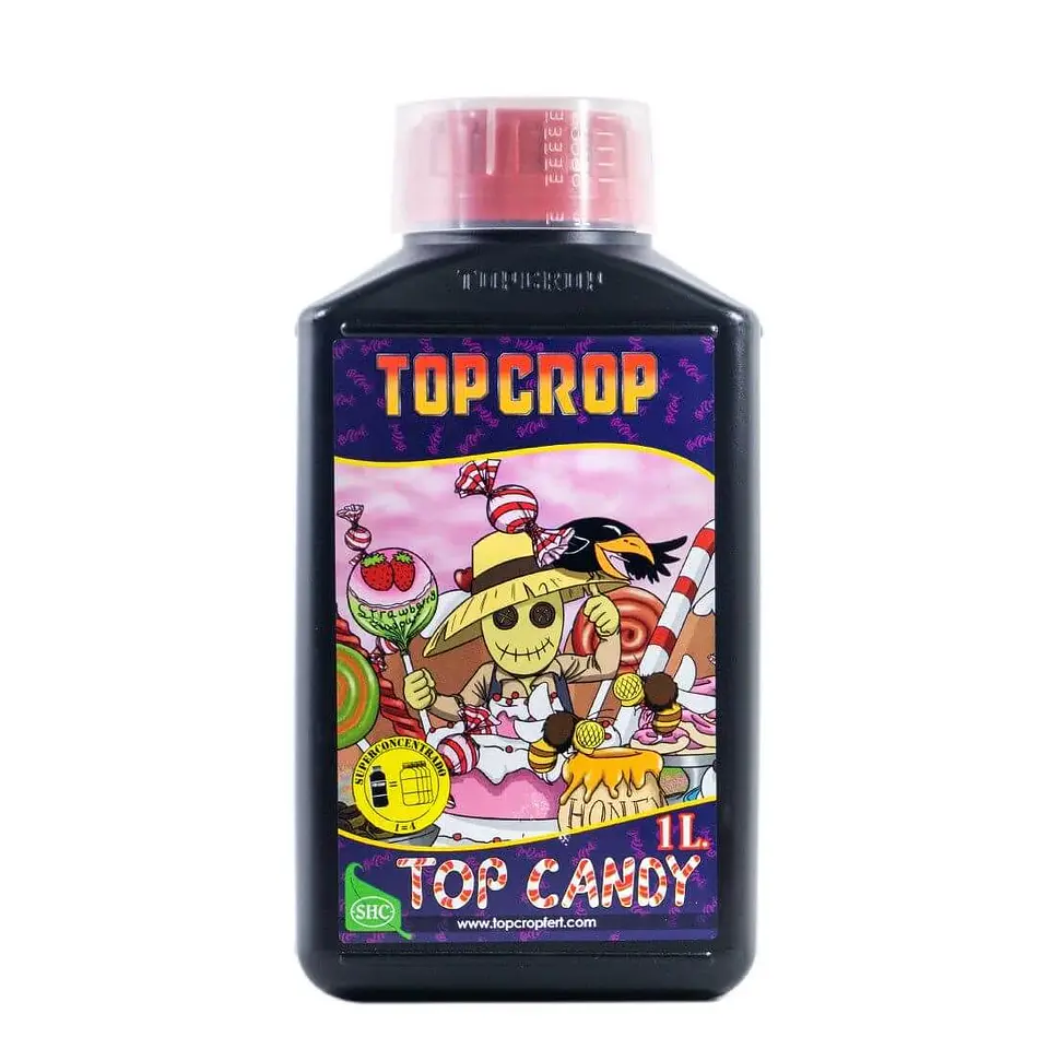 Top Candy -Top Crop 1