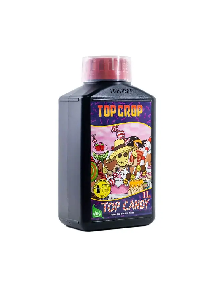 Top Candy -Top Crop 2