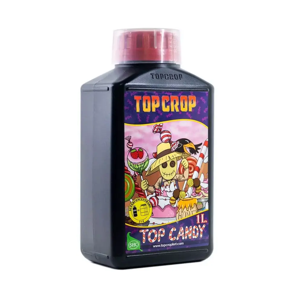 Top Candy -Top Crop 2