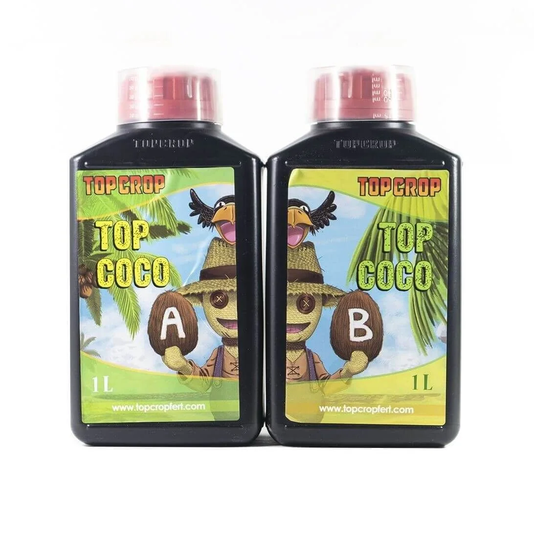 Top Coco A+B -Top Crop 1