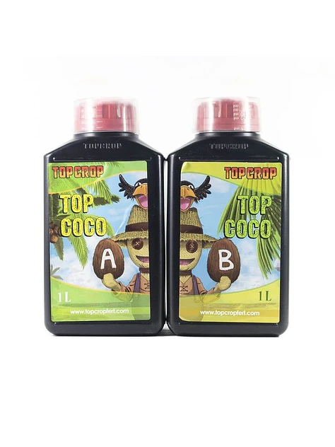 Top Coco A+B -Top Crop 1