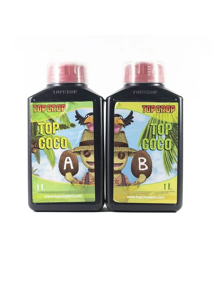 Top Coco A+B -Top Crop 1