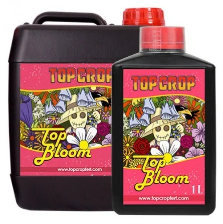 Top Bloom -Top Crop 1