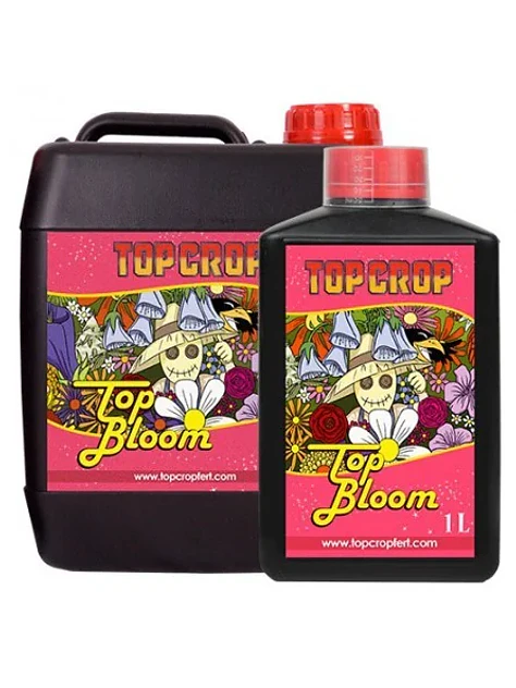 Top Bloom -Top Crop 1