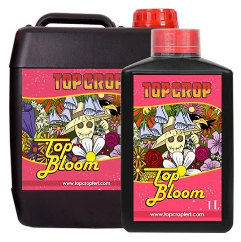 Top Bloom -Top Crop
