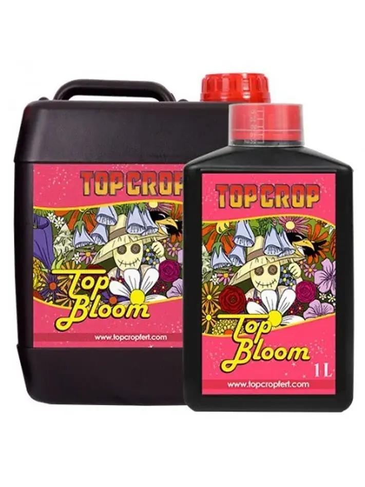 Top Bloom -Top Crop 1