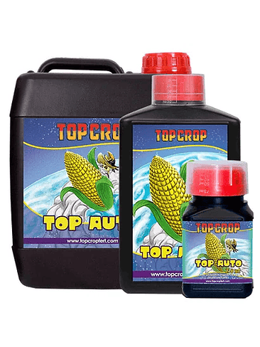 TOP AUTO 1LT-TOP CROP 2