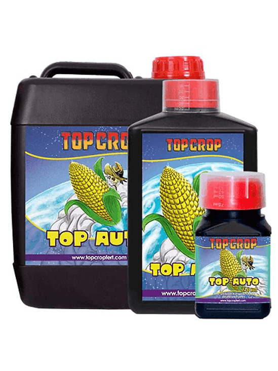 TOP AUTO 1LT-TOP CROP 2