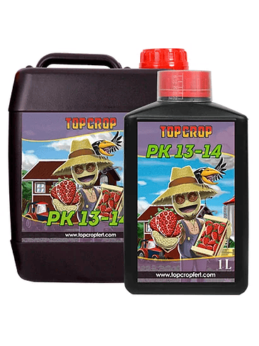 PK 13/14 5L-TOP CROP 1