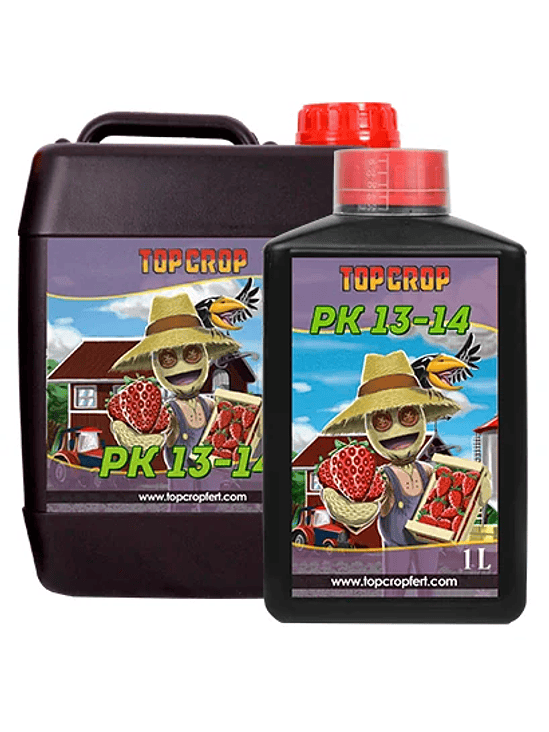 PK 13/14 5L-TOP CROP 1