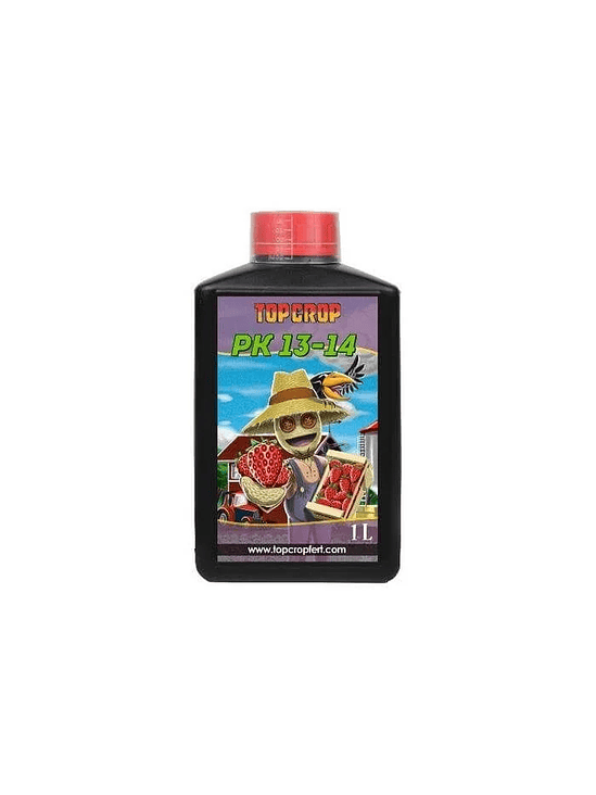 PK 13/14  1LT-TOP CROP 1