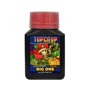 Big One 250Ml-Top Crop