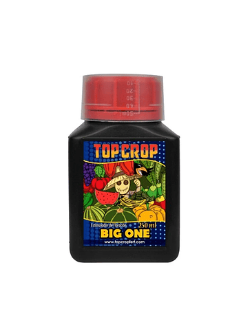 BIG ONE 250ML-TOP CROP 1