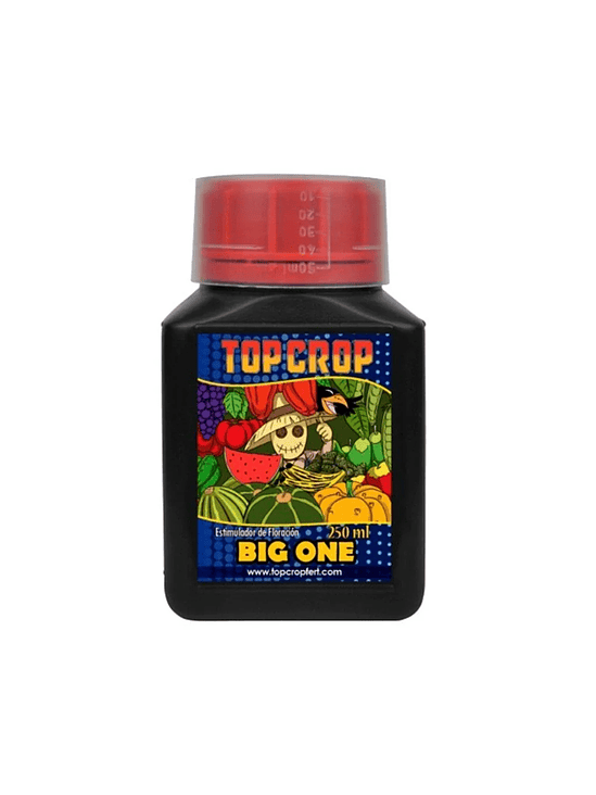 BIG ONE 250ML-TOP CROP 1