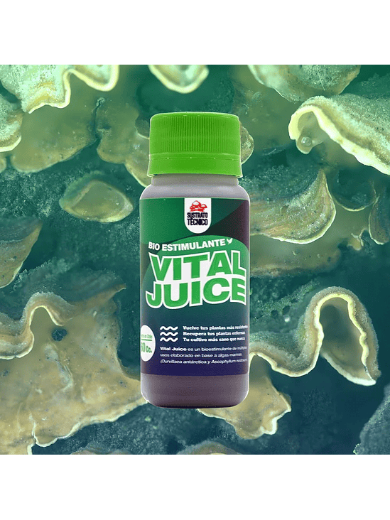 VITAL JUICE BIO ESTIMULANTE 60ML-SUSTRATO TECNICO 1