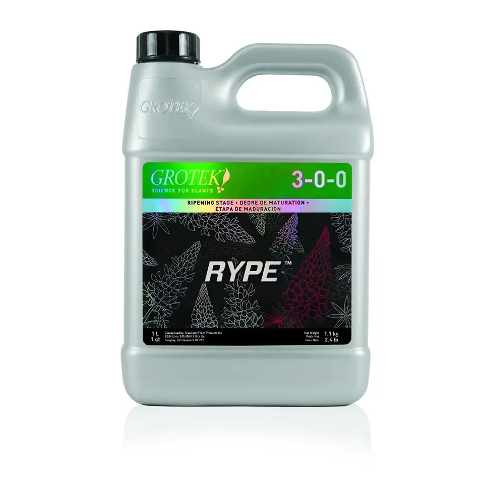 Rype -Grotek 1