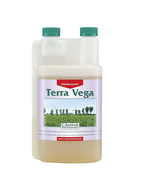 Terra Vega -Canna 1