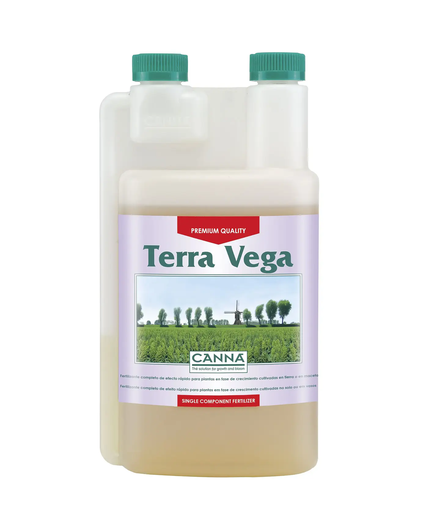 Terra Vega -Canna 1