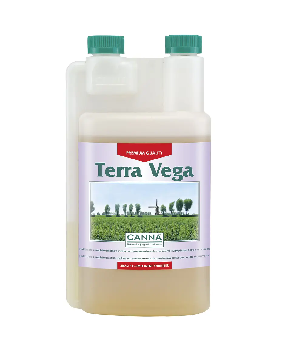 Terra Vega -Canna 1