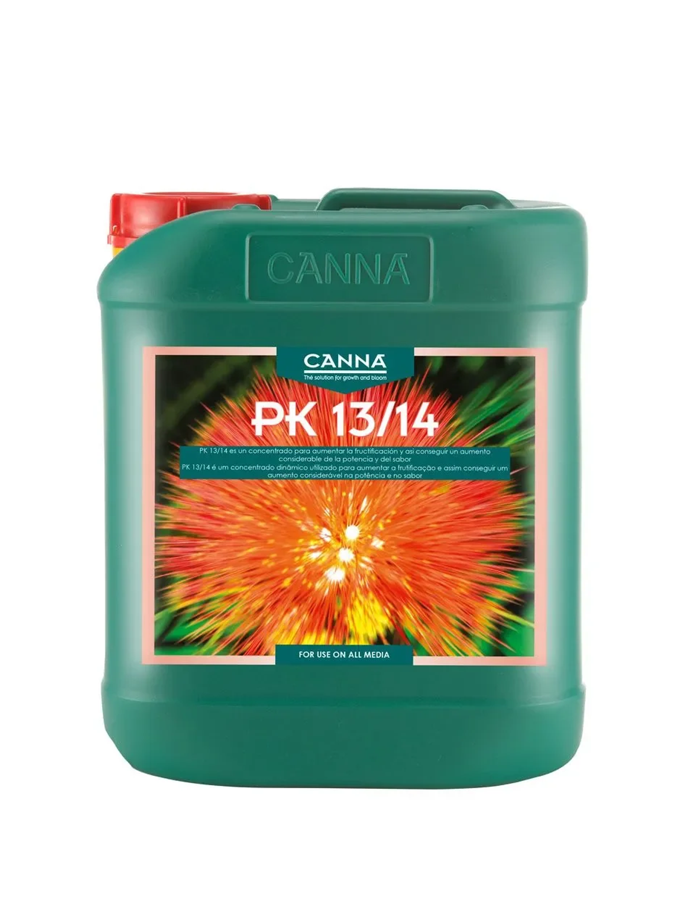 Pk 13/14 5Lt-Canna 1