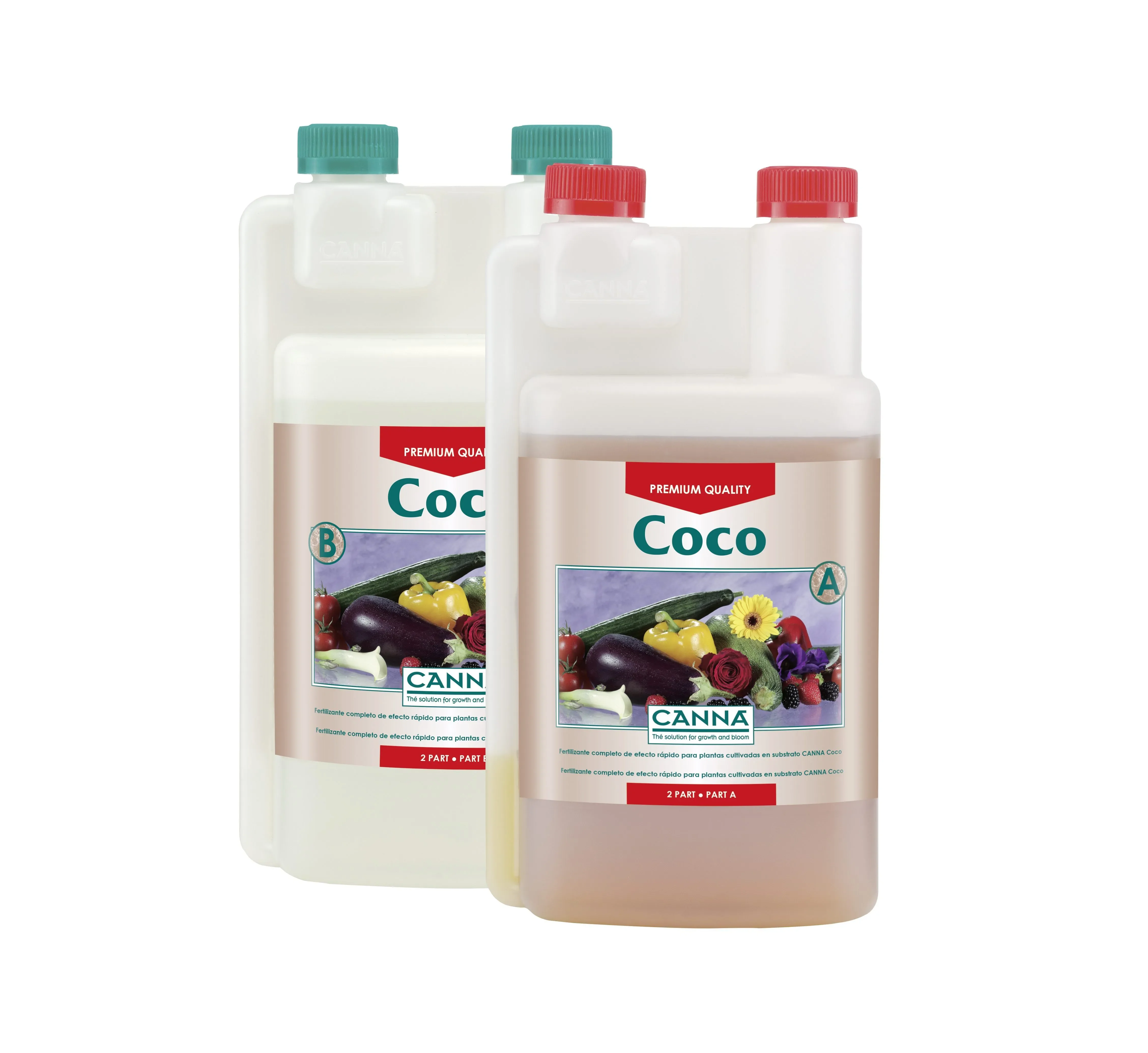 Coco A + B -Canna 3