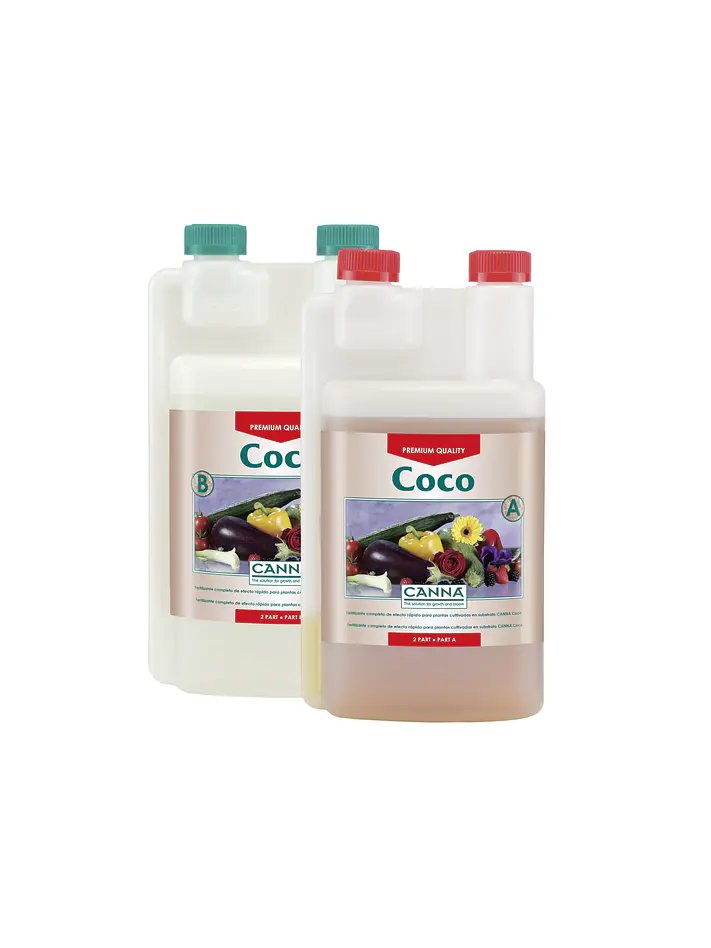 Coco A + B -Canna 3