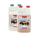 Coco A + B -Canna - Miniatura 3